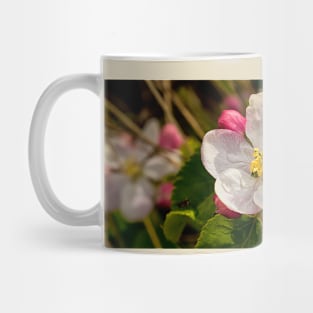 Apple Blossom Panorama Mug